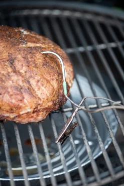 Big Green Egg Eggenius Temperatuur Controller 11 Big Green Egg Eggenius Temperatuur Controller -Barbecue Benodigdheden Winkel big green egg eggenius temperatuur controller 4